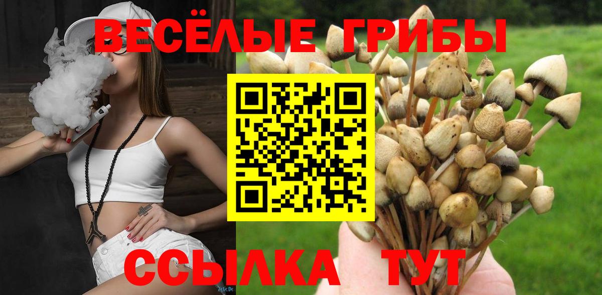 Псилоцибиновые грибы Magic Shrooms  Вход с VPN  купить   Лесосибирск 